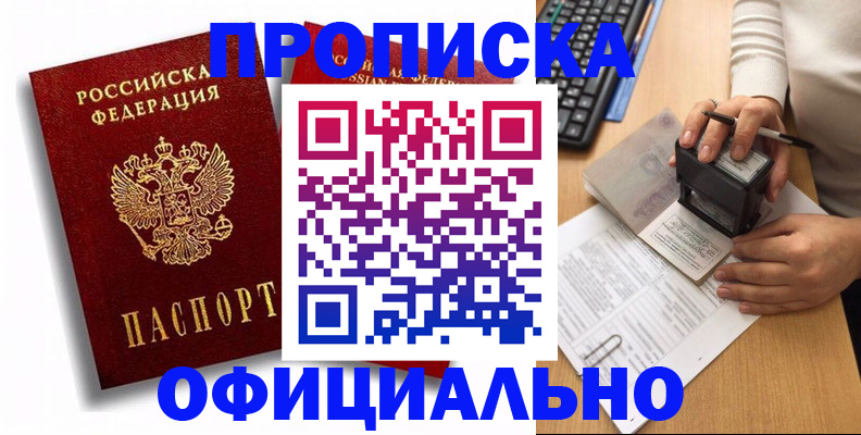 прописка в квартире в Звенигово